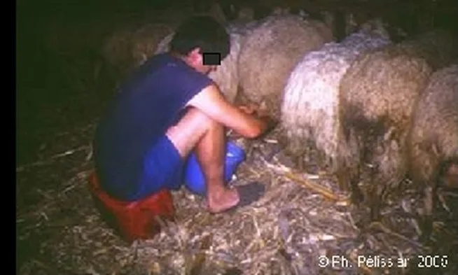 Patient reprenant son activité agricole après la reconstruction