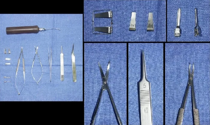 Micro-anastomoses vasculaires — figure 19